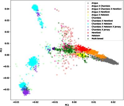 Variance component estimates, phenotypic characterization, and genetic evaluation of bovine congestive heart failure in commercial feeder cattle